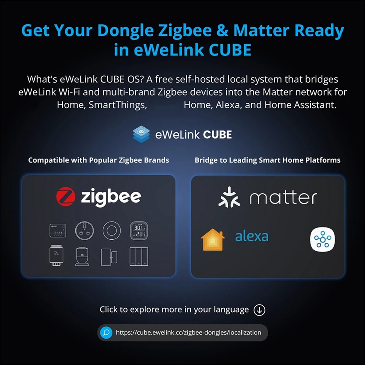 Dongle Plus MG24 Zigbee Thread - Smart Home Plus recensie en prijs
